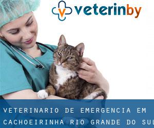 Veterinário de emergência em Cachoeirinha (Rio Grande do Sul)