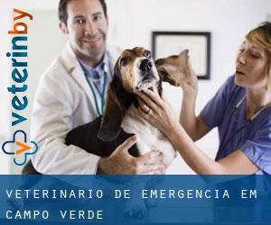 Veterinário de emergência em Campo Verde