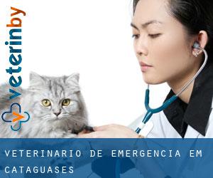 Veterinário de emergência em Cataguases