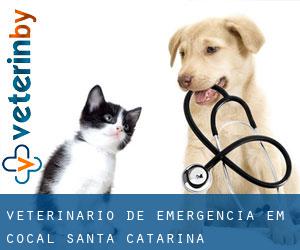 Veterinário de emergência em Cocal (Santa Catarina)