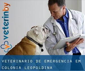 Veterinário de emergência em Colônia Leopoldina