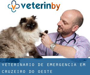 Veterinário de emergência em Cruzeiro do Oeste