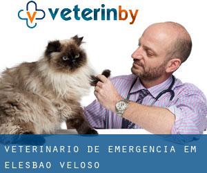 Veterinário de emergência em Elesbão Veloso
