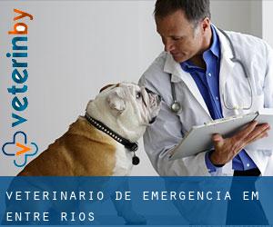 Veterinário de emergência em Entre Rios