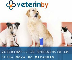 Veterinário de emergência em Feira Nova do Maranhão