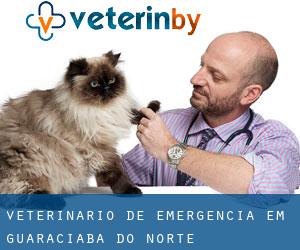 Veterinário de emergência em Guaraciaba do Norte