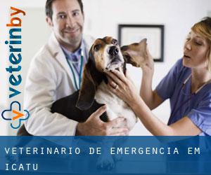 Veterinário de emergência em Icatu