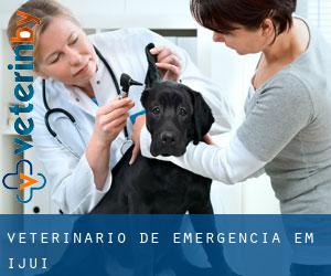 Veterinário de emergência em Ijuí