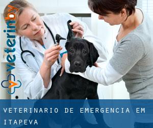 Veterinário de emergência em Itapeva