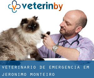 Veterinário de emergência em Jerônimo Monteiro