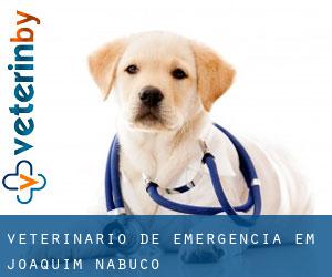 Veterinário de emergência em Joaquim Nabuco