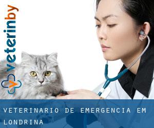 Veterinário de emergência em Londrina