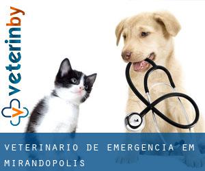 Veterinário de emergência em Mirandópolis