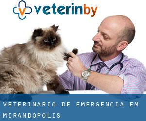 Veterinário de emergência em Mirandópolis