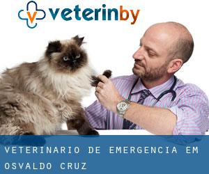 Veterinário de emergência em Osvaldo Cruz