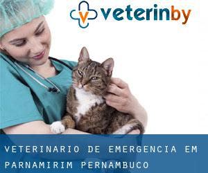 Veterinário de emergência em Parnamirim (Pernambuco)