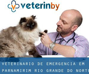 Veterinário de emergência em Parnamirim (Rio Grande do Norte)