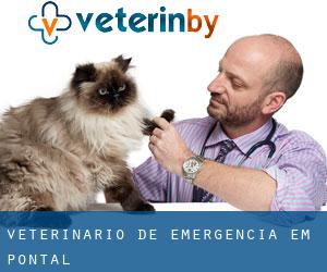 Veterinário de emergência em Pontal