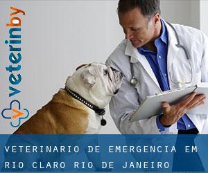 Veterinário de emergência em Rio Claro (Rio de Janeiro)