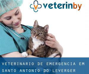 Veterinário de emergência em Santo Antônio do Leverger