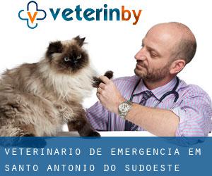 Veterinário de emergência em Santo Antônio do Sudoeste
