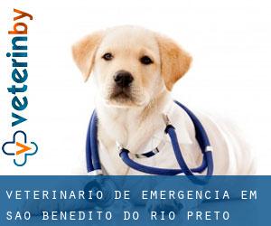 Veterinário de emergência em São Benedito do Rio Preto