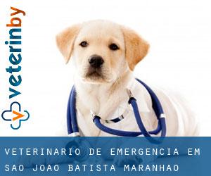 Veterinário de emergência em São João Batista (Maranhão)