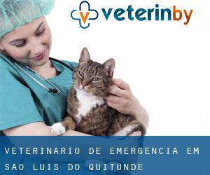 Veterinário de emergência em São Luís do Quitunde