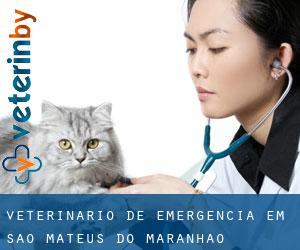 Veterinário de emergência em São Mateus do Maranhão
