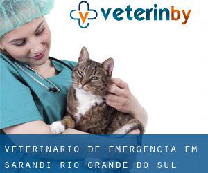 Veterinário de emergência em Sarandi (Rio Grande do Sul)