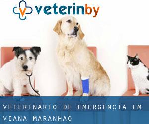 Veterinário de emergência em Viana (Maranhão)