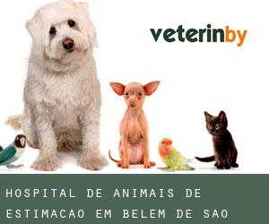 Hospital de animais de estimação em Belém de São Francisco