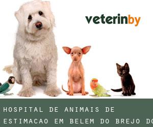 Hospital de animais de estimação em Belém do Brejo do Cruz