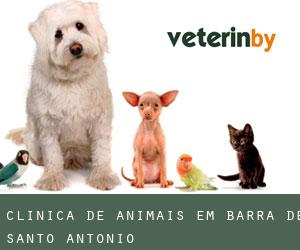 Clínica de animais em Barra de Santo Antônio