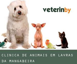 Clínica de animais em Lavras da Mangabeira
