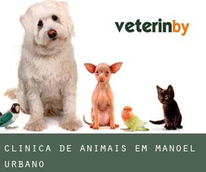 Clínica de animais em Manoel Urbano
