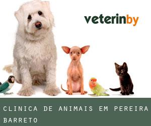 Clínica de animais em Pereira Barreto