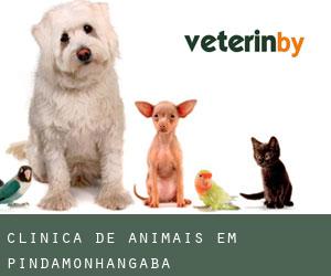Clínica de animais em Pindamonhangaba