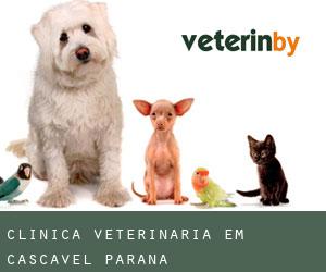 Clínica veterinária em Cascavel (Paraná) Clínica veterinária em Cascavel (Paraná)