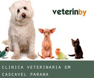 Clínica veterinária em Cascavel (Paraná)