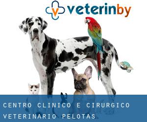 Centro Clínico e Cirúrgico Veterinário (Pelotas)
