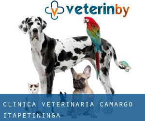 Clínica Veterinária Camargo (Itapetininga)