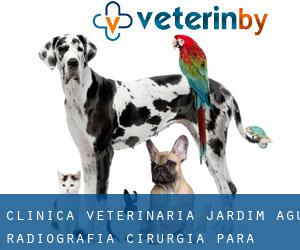 Clinica Veterinaria Jardim Agu | Radiografia Cirurgia para Cachorro Internação (Carapicuíba)