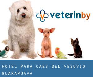 Hotel para Cães Del Vesúvio (Guarapuava)
