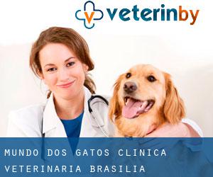 Mundo dos Gatos Clínica Veterinária (Brasília)