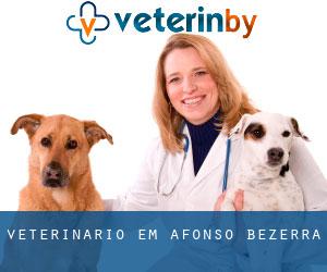 veterinário em Afonso Bezerra