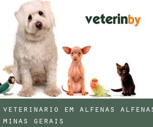 veterinário em Alfenas (Alfenas, Minas Gerais)