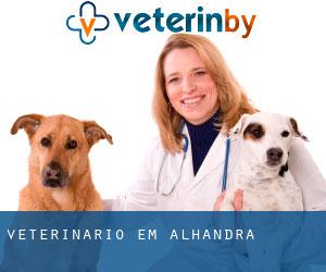 veterinário em Alhandra