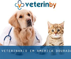 veterinário em América Dourada