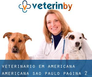 veterinário em Americana (Americana, São Paulo) - página 2